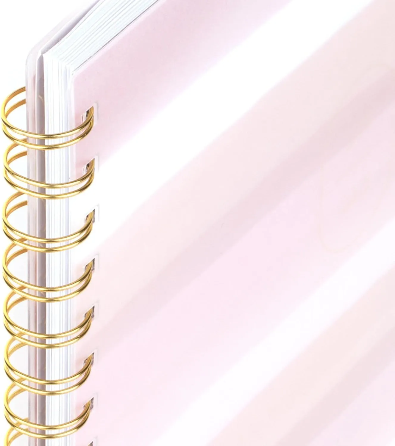 Cambridge Planner 2024-2025 Academic by Leah Bisch, Weekly & Monthly, 8-1/2" x 11", Large, Monthly Tabs, Flexible Cover, Stripe (LB32-905A)