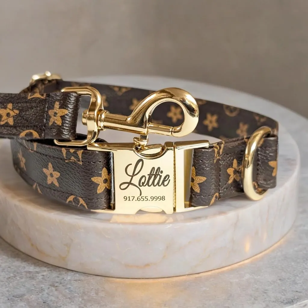 Designer Dog Puppy Collar and Leash - Personalized name buckle - Handcrafted (X-Small - 7.8” - 11” Inches, Collar and Name Buckle)