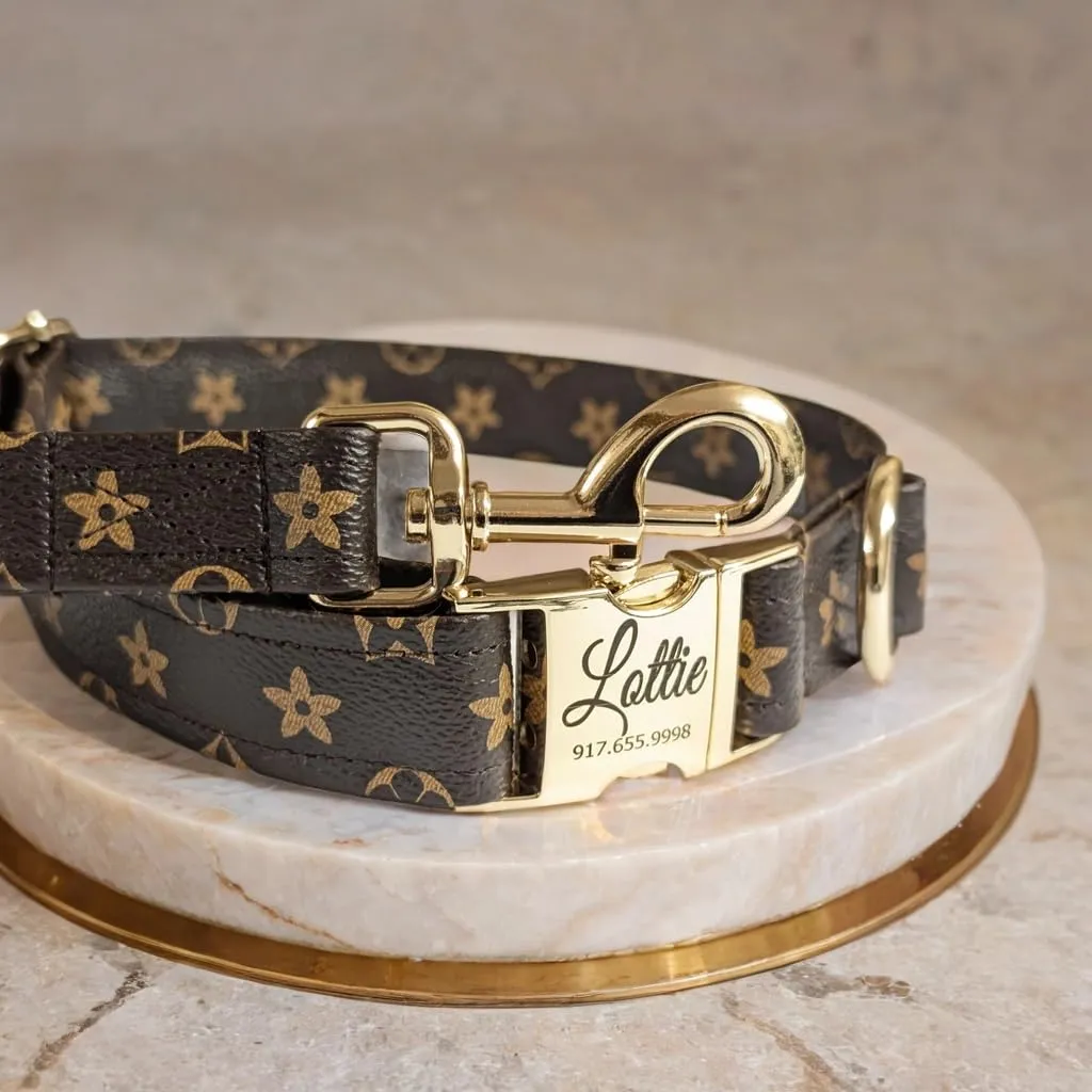 Designer Dog Puppy Collar and Leash - Personalized name buckle - Handcrafted (X-Small - 7.8” - 11” Inches, Collar and Name Buckle)