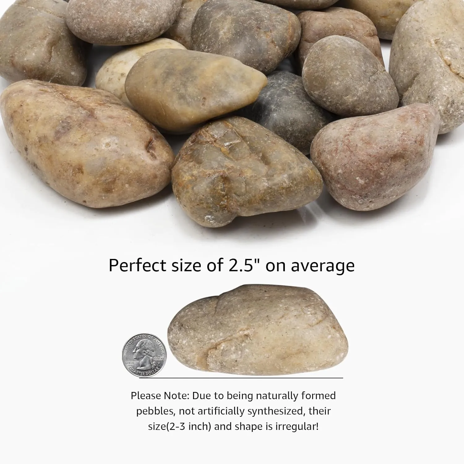 Large River Stones 2-3 Inch, 10lbs - Perfect for Patio Landscaping, Pond Surrounds, Flower Beds, Walkway Edging, Garden Decor, and Outdoor Landscaping with Natural Polished Texture