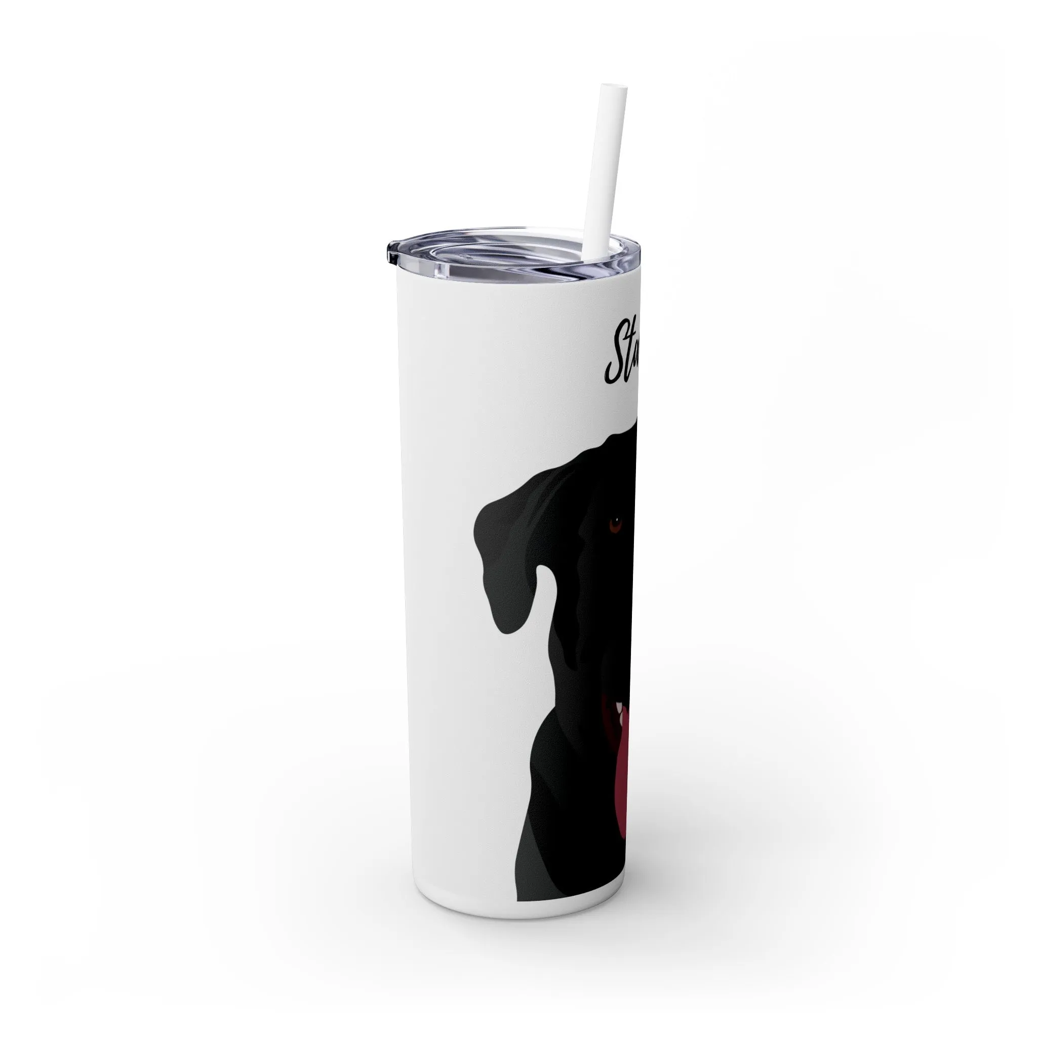 Pet Portrait Tumbler | Skinny Tumbler with Straw, 20oz Stainless Steel Cup