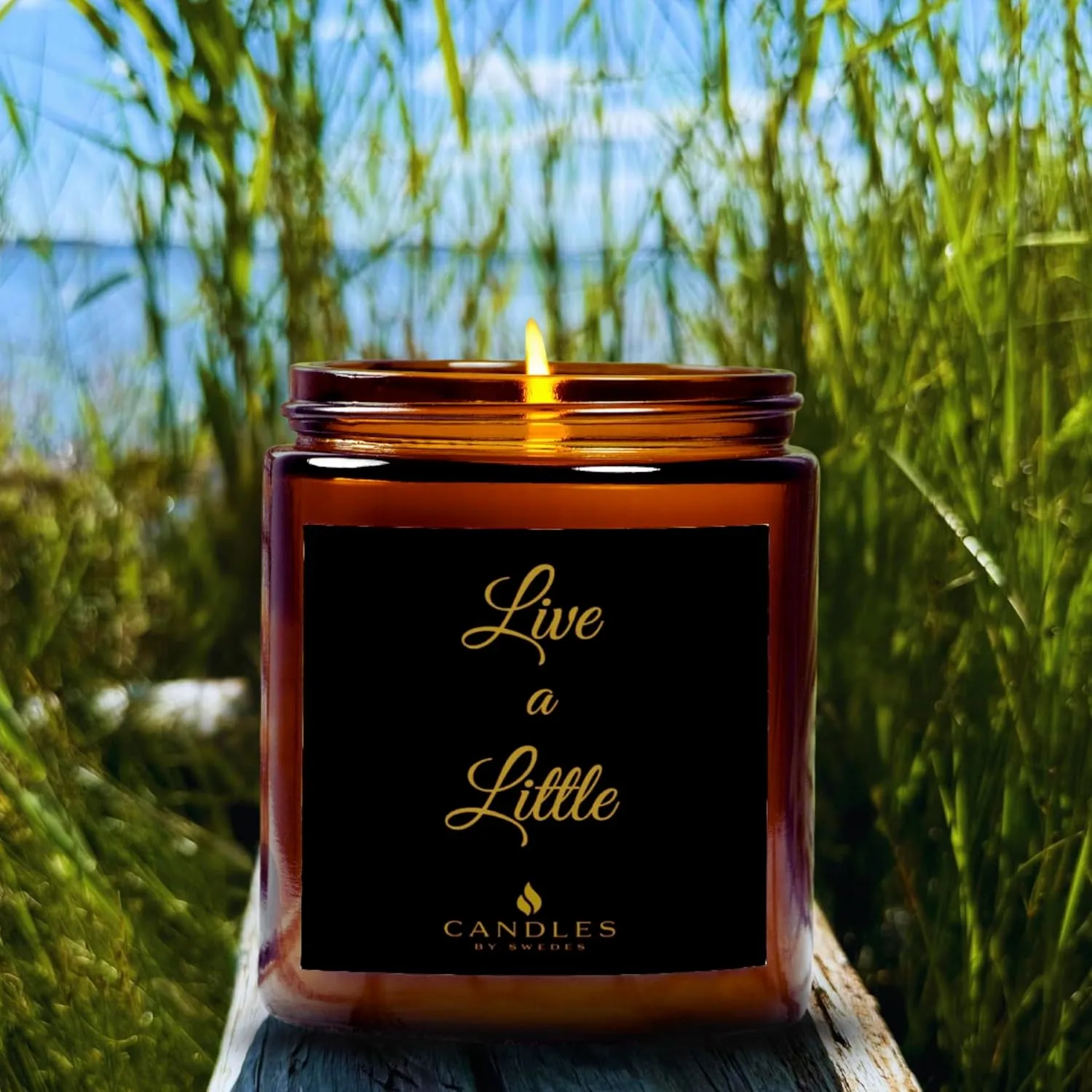 Scented Candles - Live a Little | Home Decor | Gifts for Women Mom Men Dad | Housewarming New Home | Cashmere Musk - 9 oz