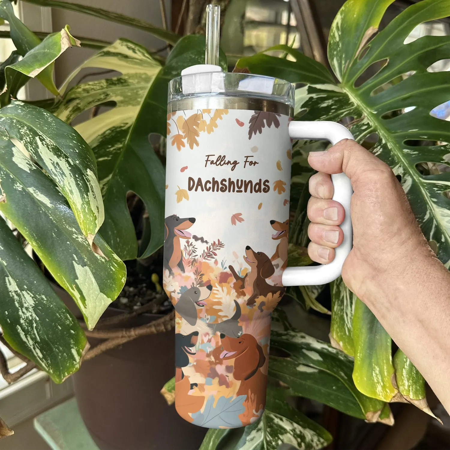 Shineful Tumbler Falling For Dachshunds