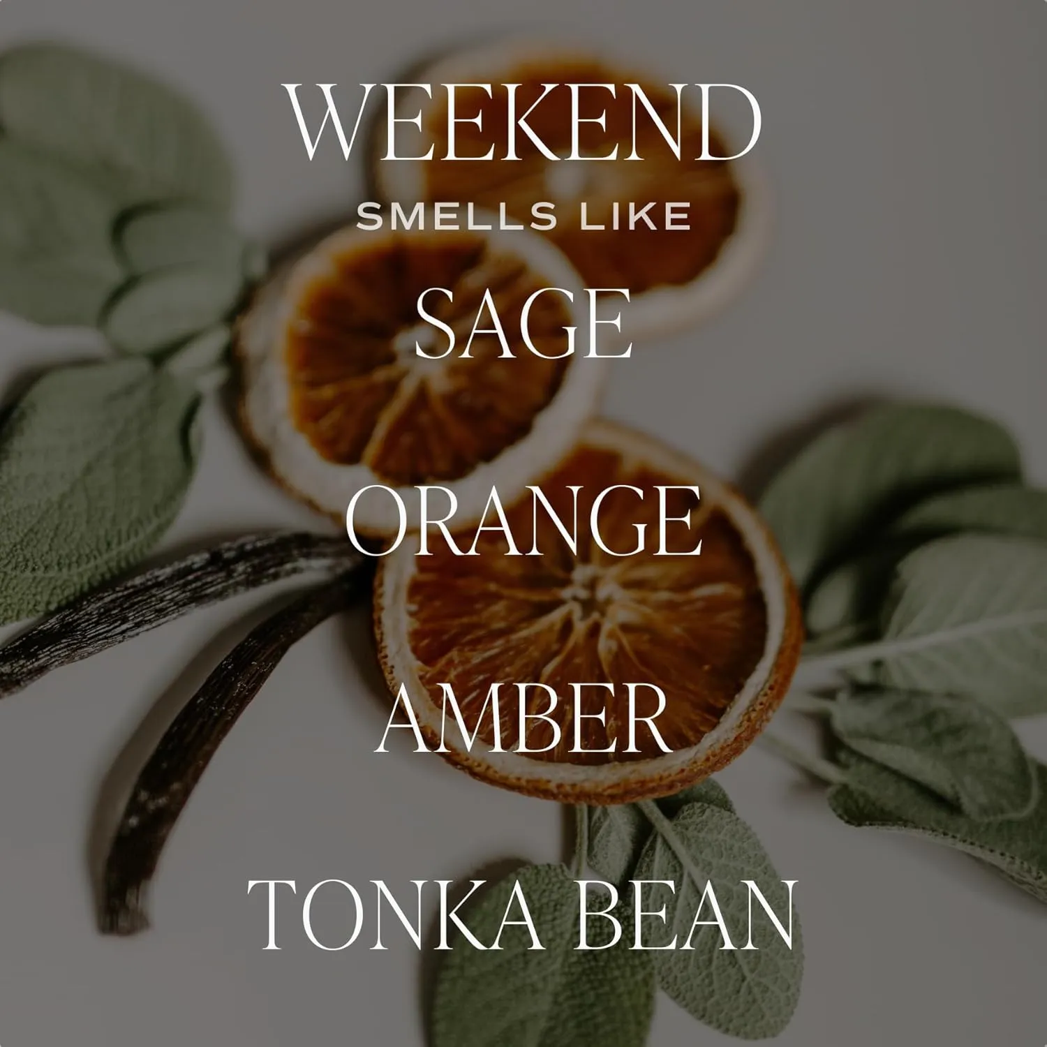 Sweet Water Decor Weekend Candle - Sage, Orange, Amber, Tonka Bean Scented Soy Masculine Candles for Home - 15oz Tan Jar, 70  Hour Burn Time, Made in the USA
