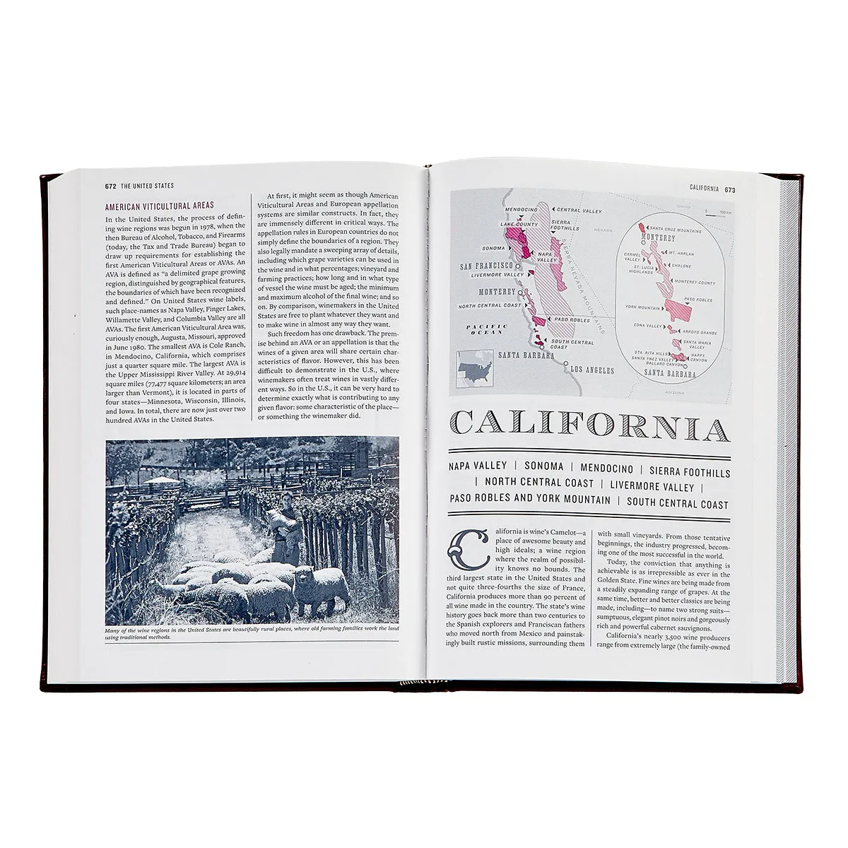 The Wine BIble / Hand Bound Leather Book