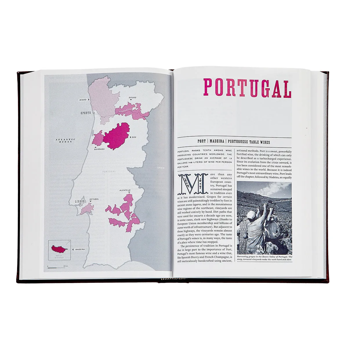 The Wine BIble / Hand Bound Leather Book